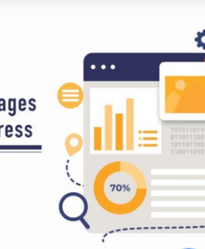 6 raisons d&rsquo;utiliser le CMS WordPress